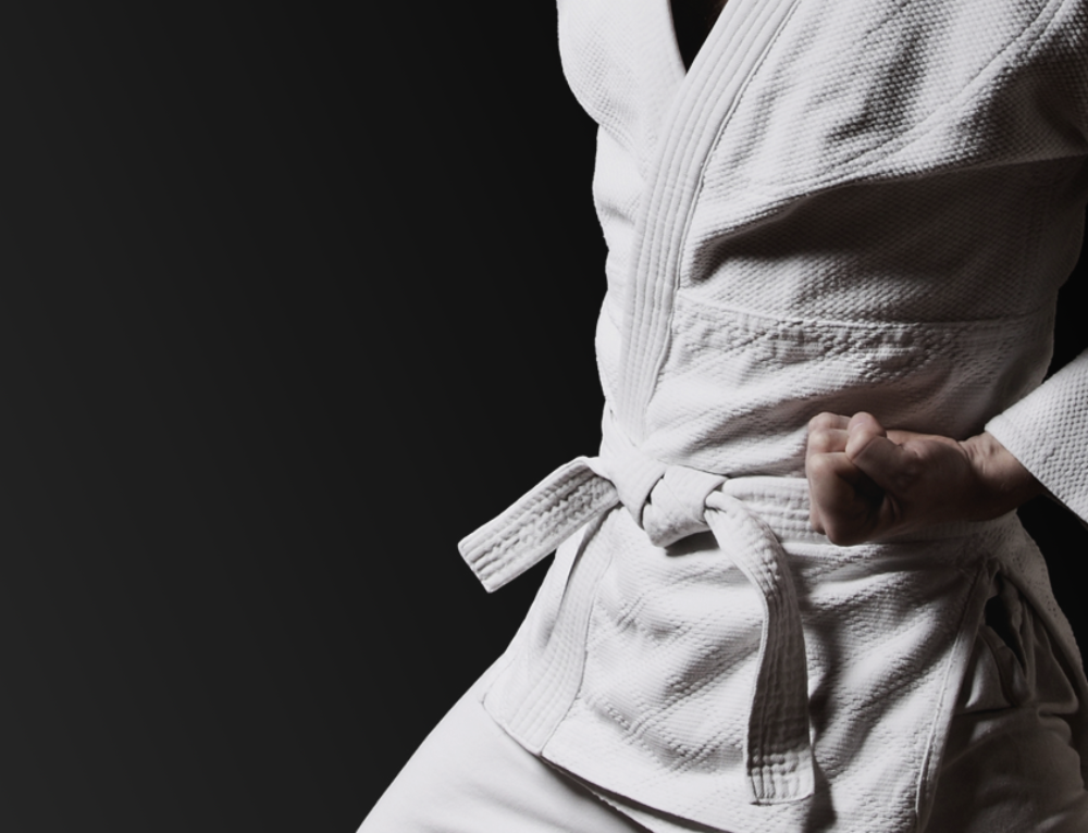 Understanding Martial Arts Rank Requirements [Beginner's Guide]