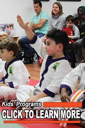 kids karate downtown toronto