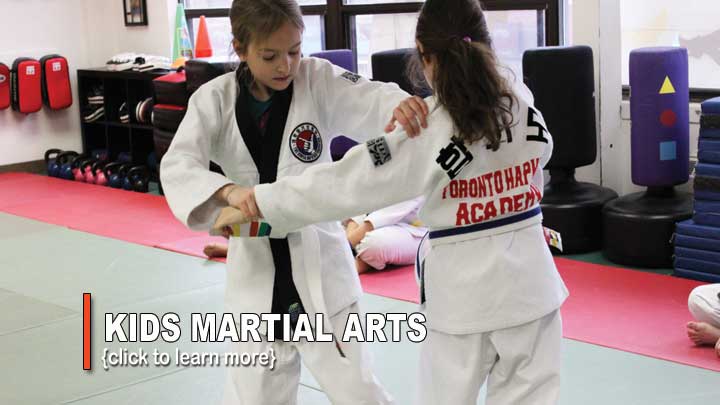 kids martial arts toronto north york