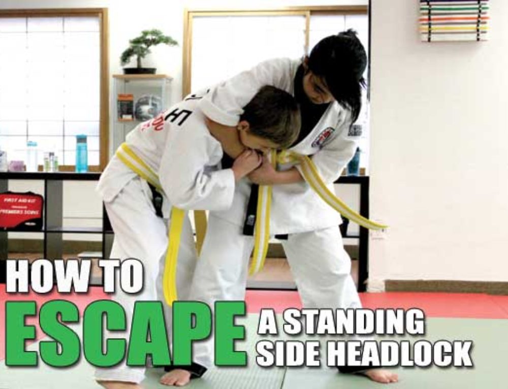 Understanding Martial Arts Rank Requirements [Beginner's Guide]