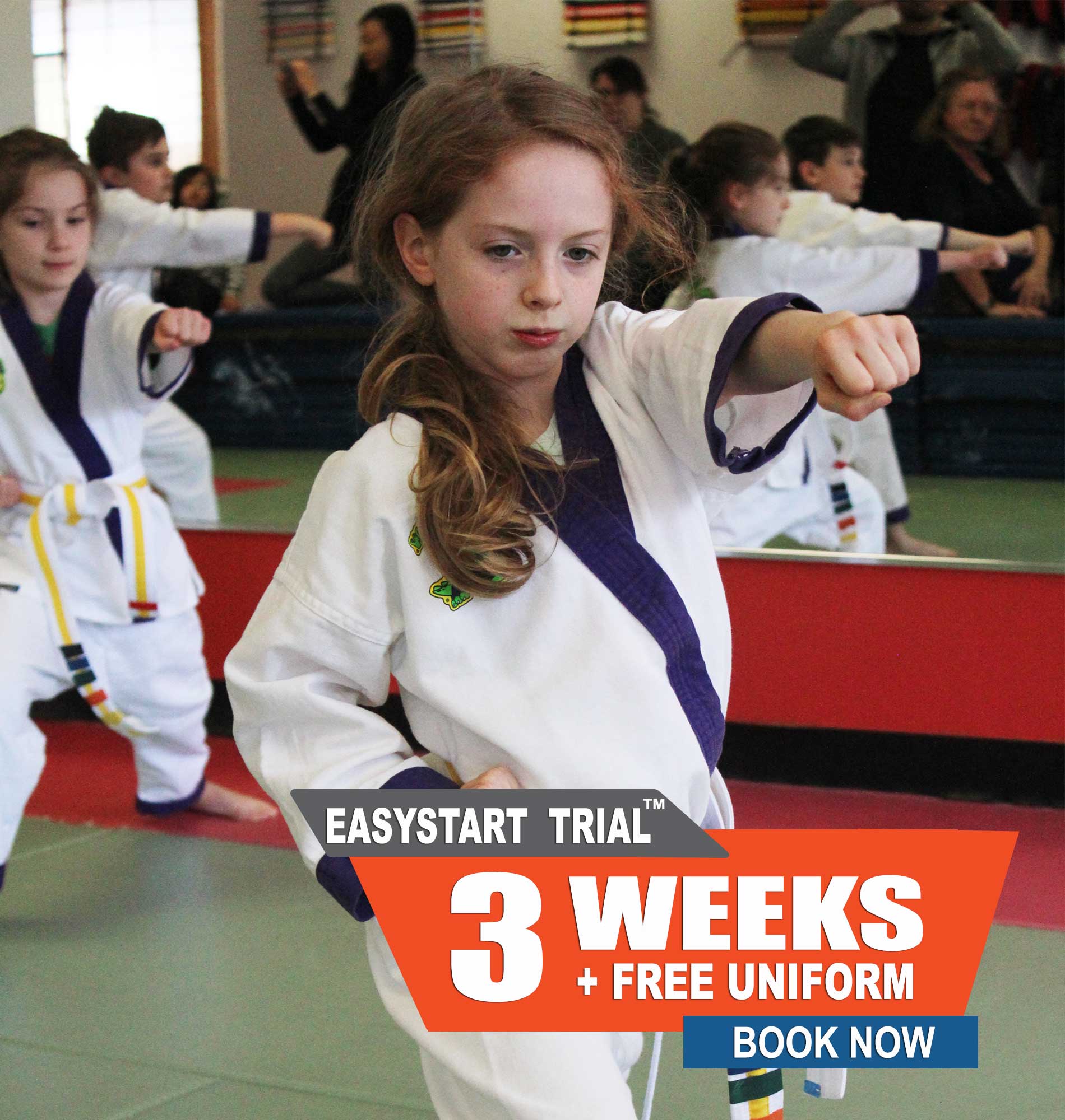 Kids Taekwondo Toronto lessons with age-appropriate instruction.